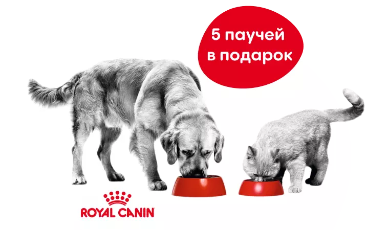 Подарок от Royal Canin Подарок от Royal Canin
